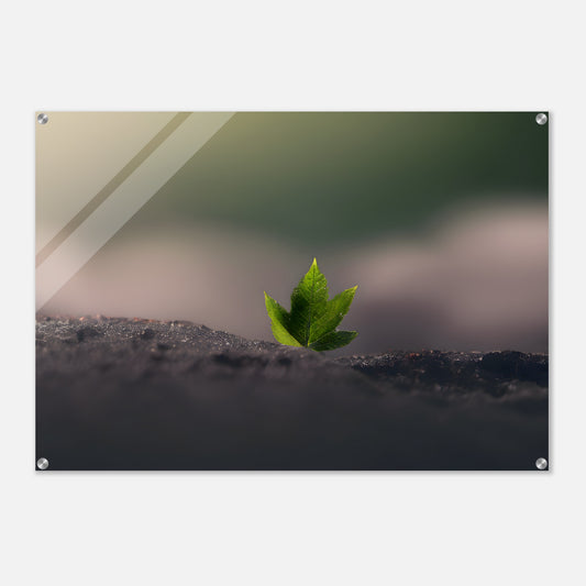 Acrylic Print of Minimalist Abstract Green Leaf Wall Art