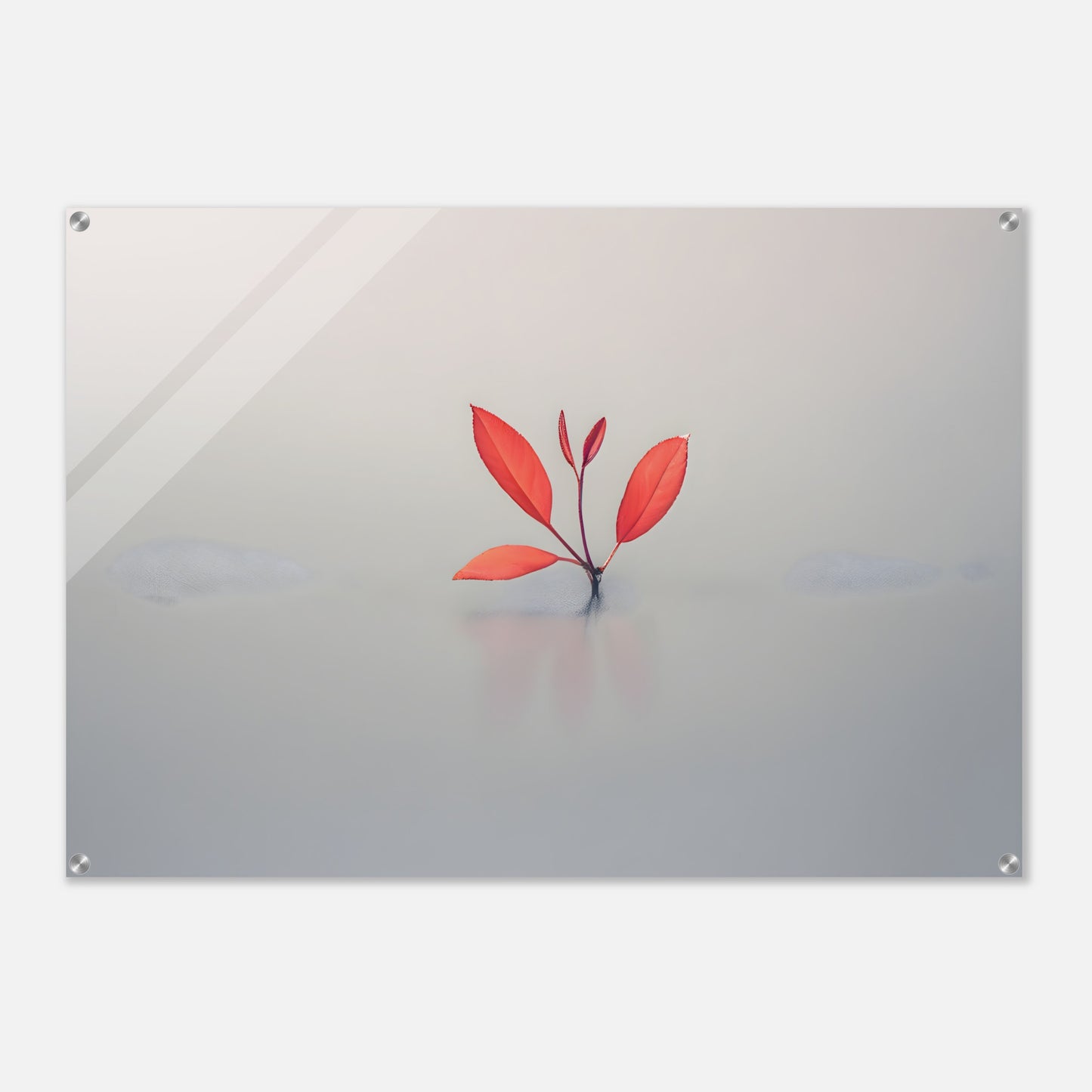 Minimalistic Nature Acrylic Print for Modern Home Decor