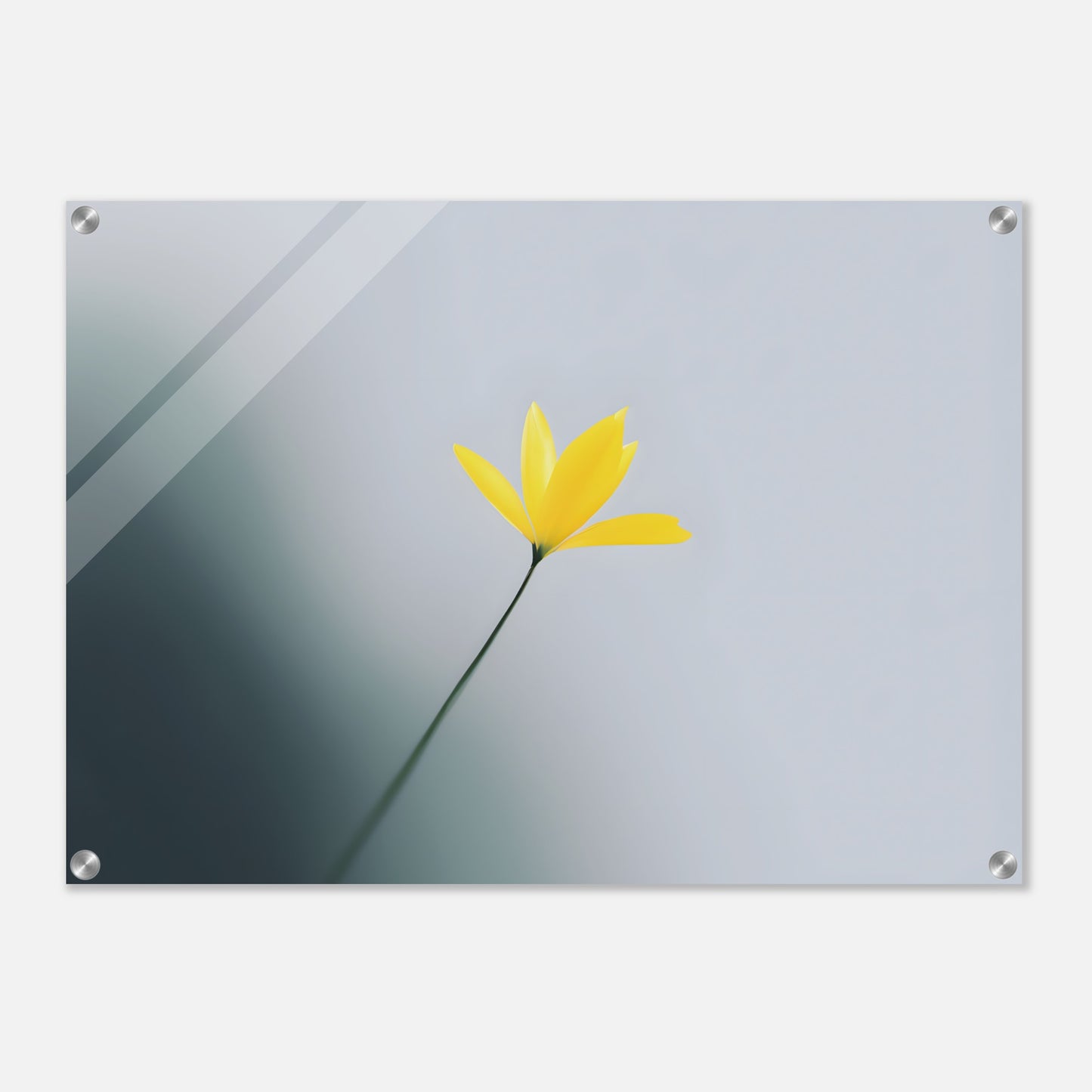 Whispers of Spring: Beautiful Acrylic Print for Your Home