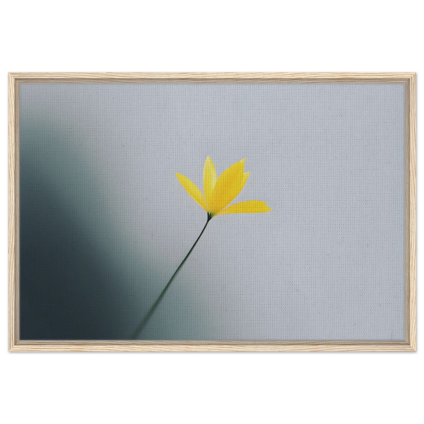 Whispers of Spring - Beautiful Floral Canvas Art for Home