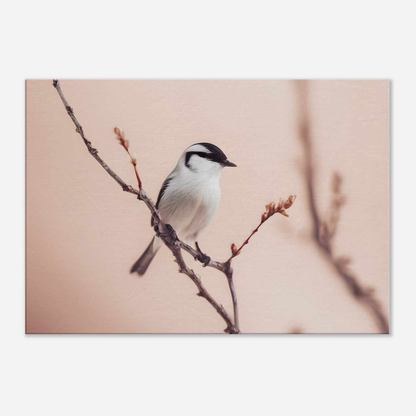 Whispers of Serenity: Captivating Bird Canvas Horizontal Artwork