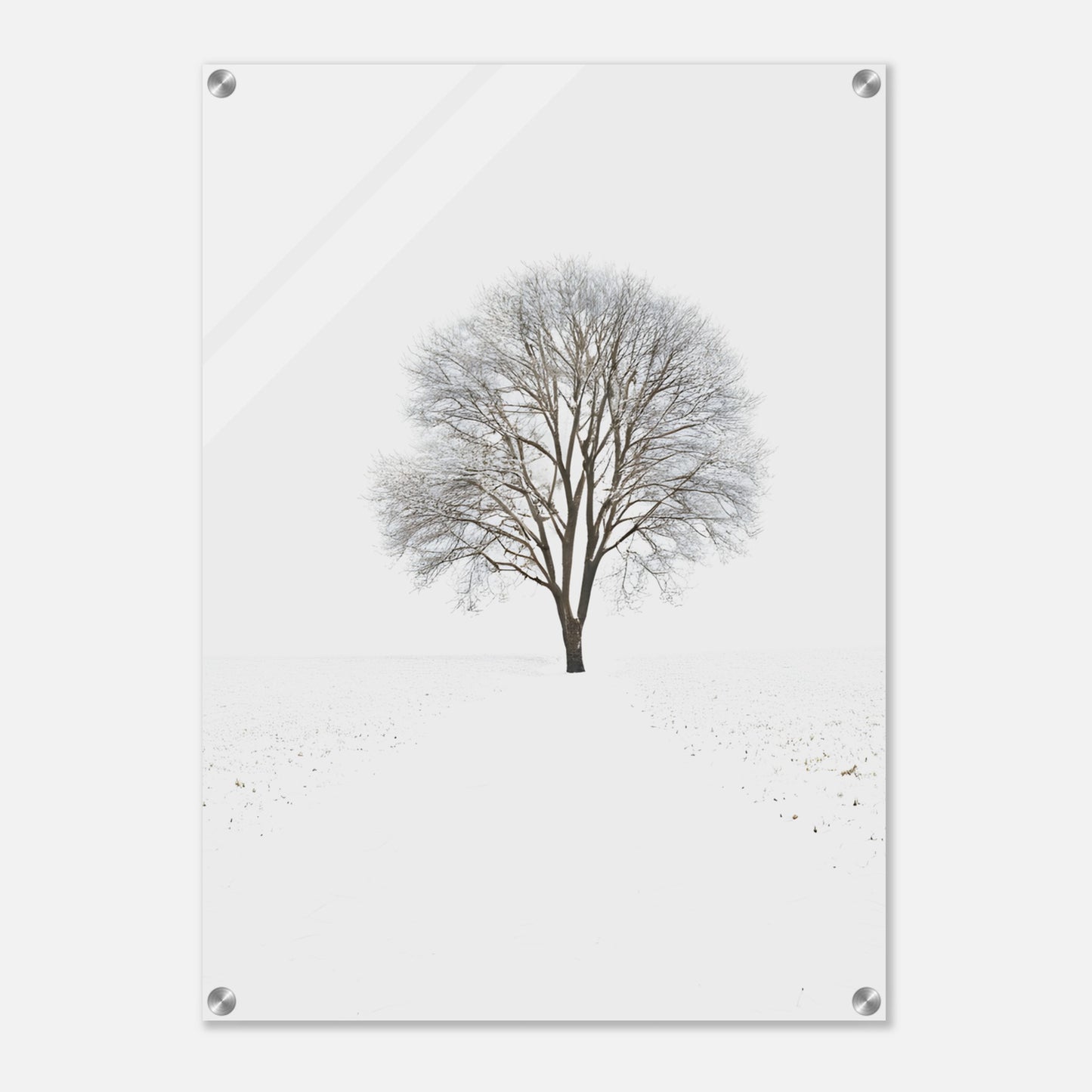 Minimalist Abstract Acrylic Print of a Tree in Winter Setting