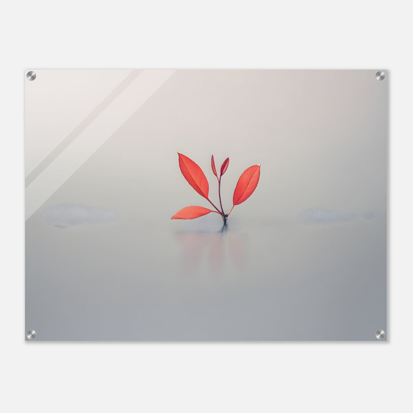 Minimalistic Nature Acrylic Print for Modern Home Decor