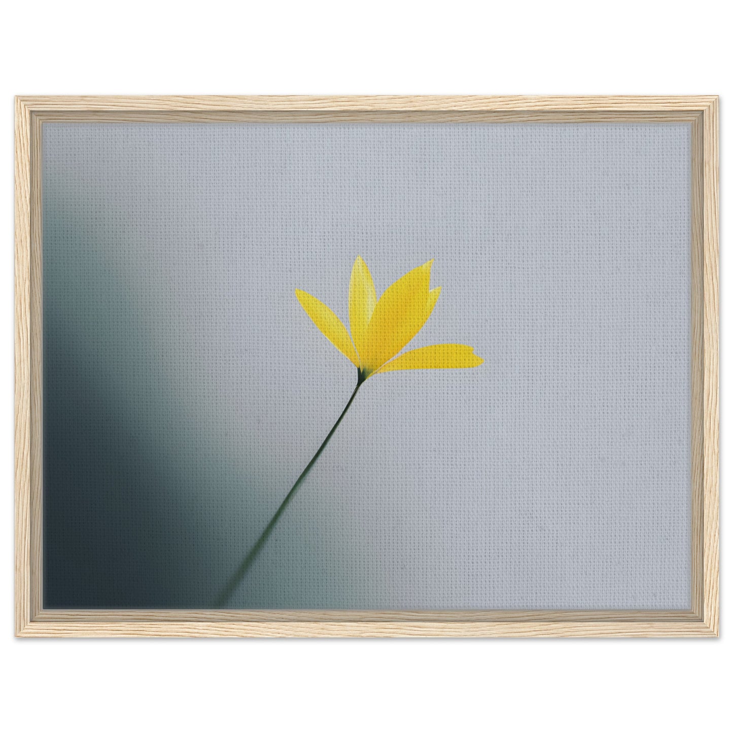 Whispers of Spring - Beautiful Floral Canvas Art for Home