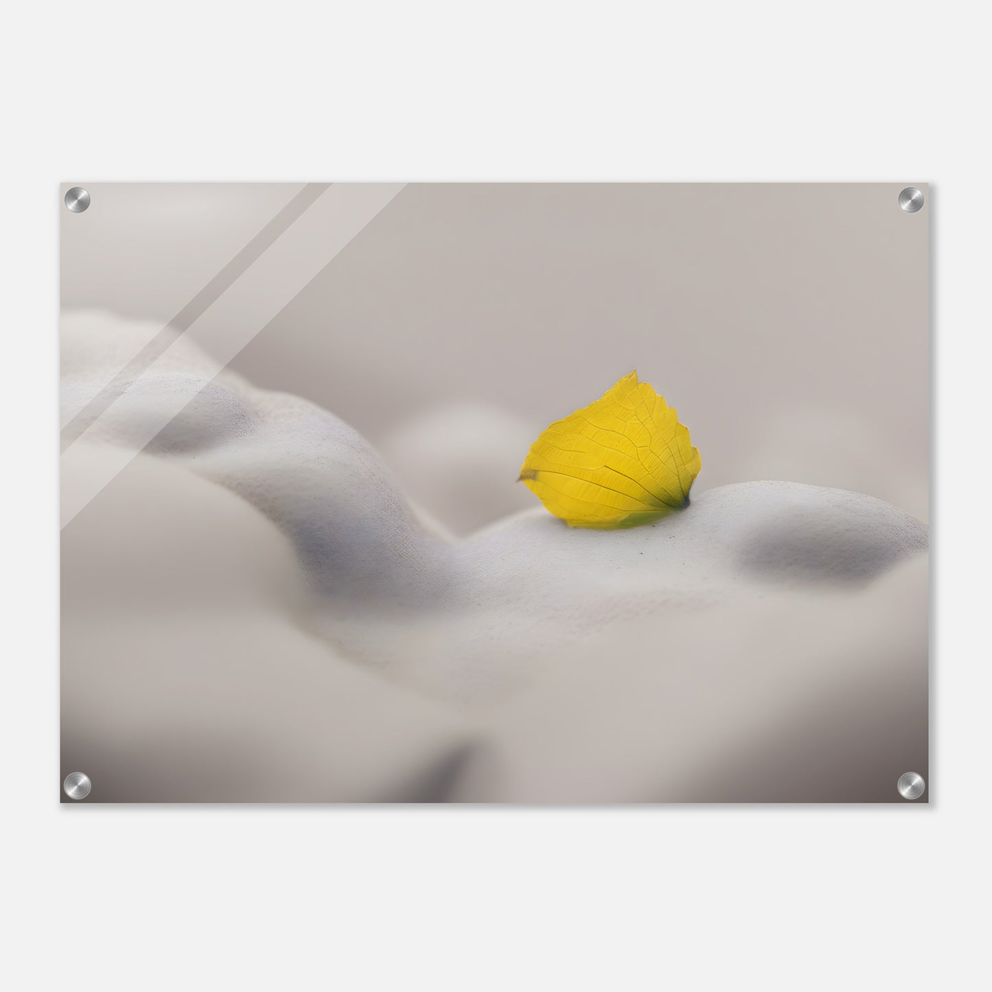 Stunning Minimalist Acrylic Print of Yellow Petal on Soft Clouds