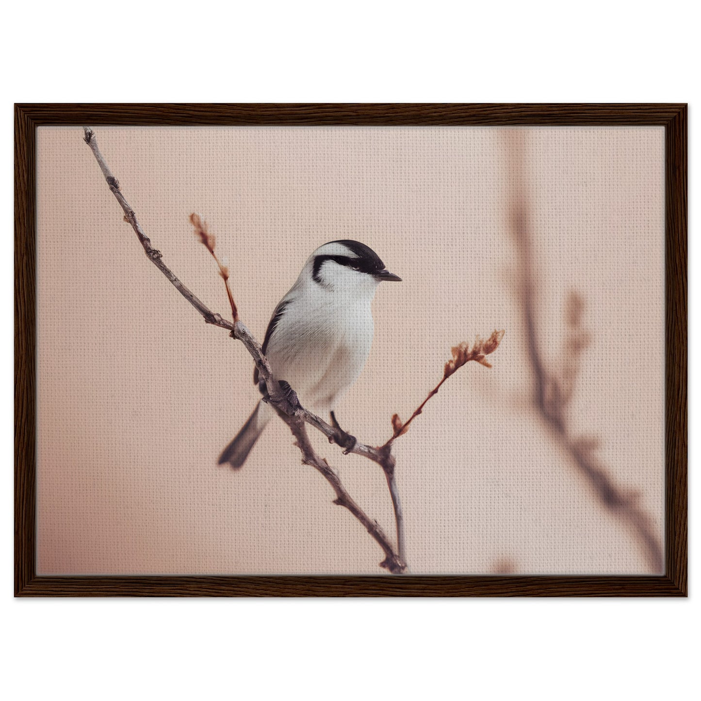 Whispers of Serenity: Elegant Bird Wall Art for Your Home