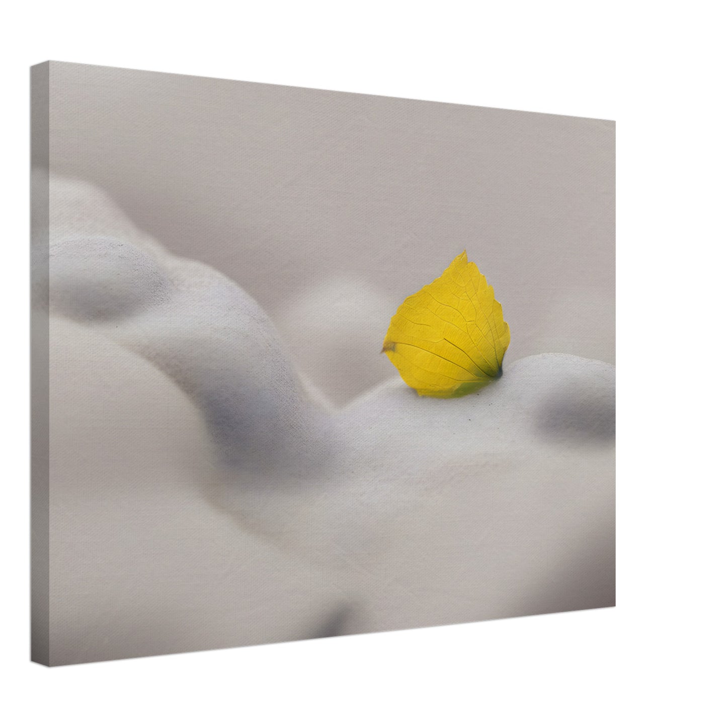 Minimalist Abstract Wall Art with Yellow Petal and Soft Textures