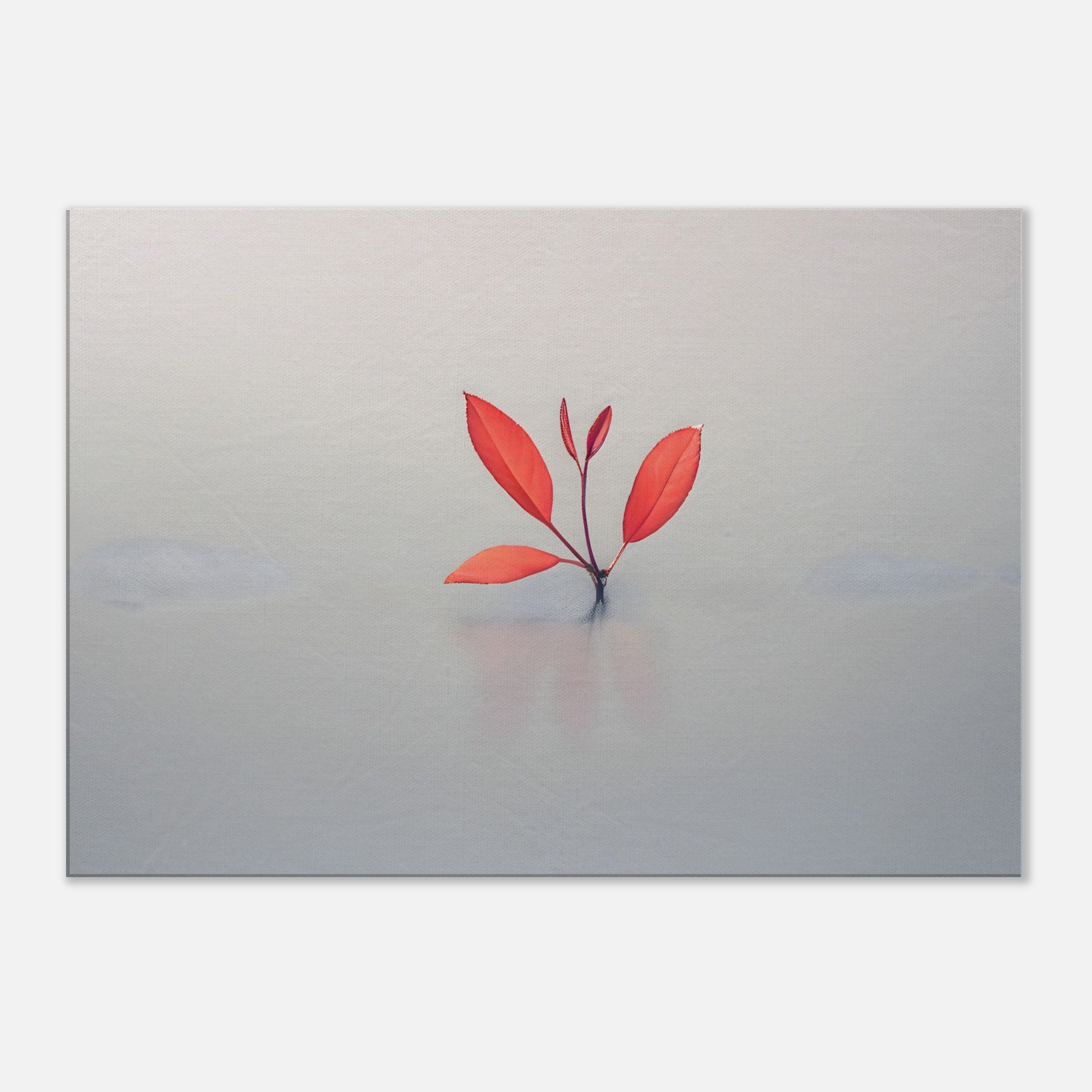 Minimalist Nature Photography for Contemporary Wall Art