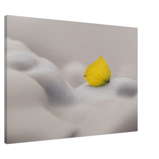 Minimalist Abstract Wall Art with Yellow Petal and Soft Textures