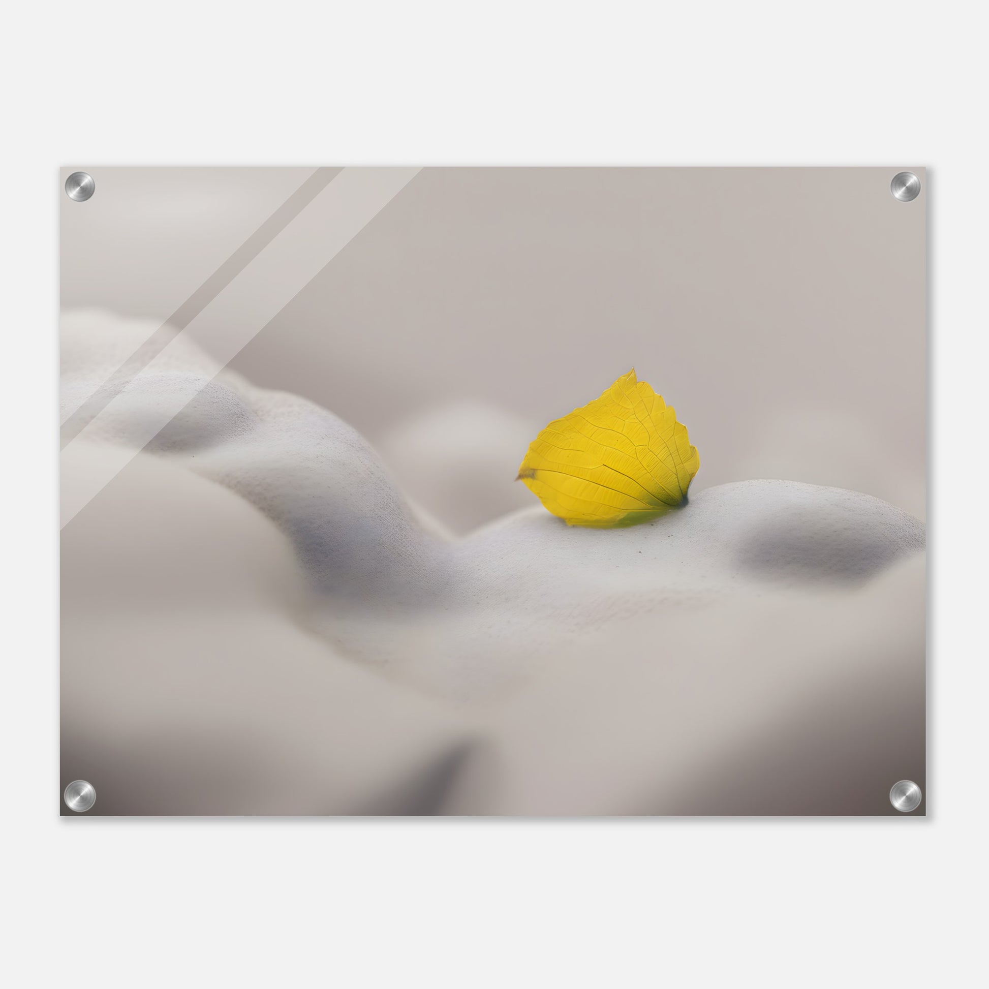 Stunning Minimalist Acrylic Print of Yellow Petal on Soft Clouds