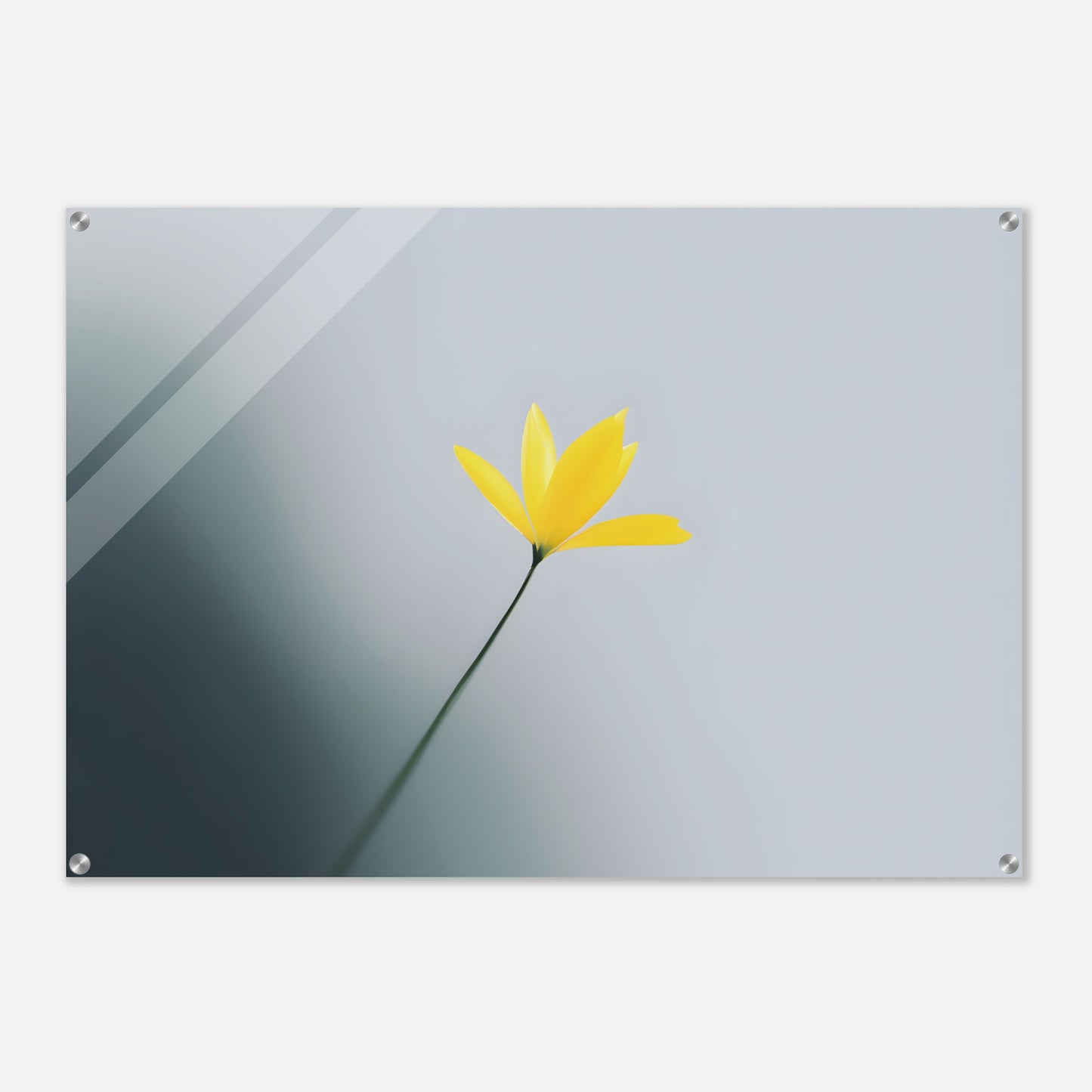 Whispers of Spring: Beautiful Acrylic Print for Your Home