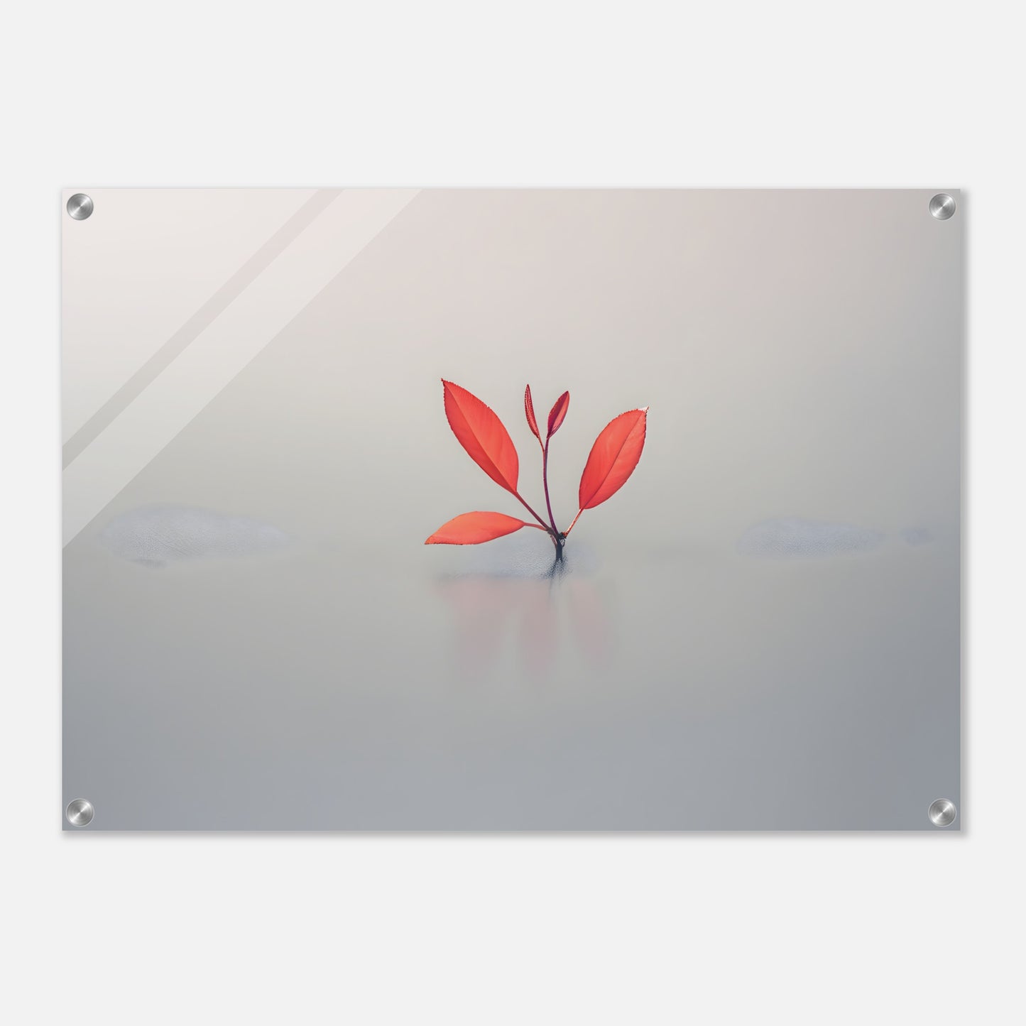 Minimalistic Nature Acrylic Print for Modern Home Decor