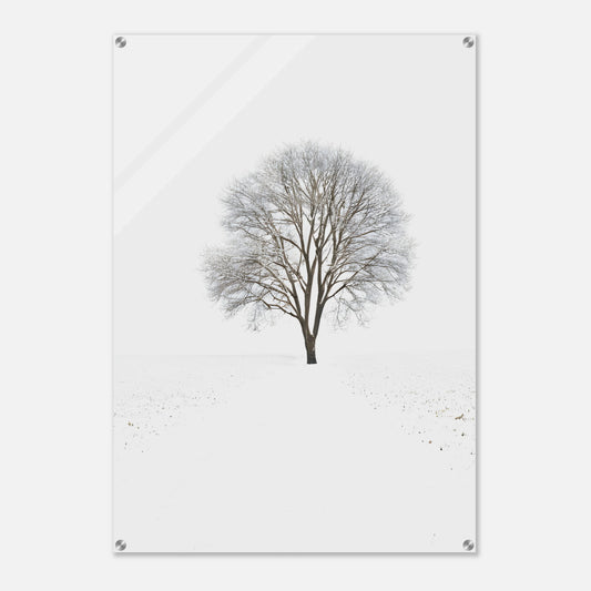 Minimalist Abstract Acrylic Print of a Tree in Winter Setting