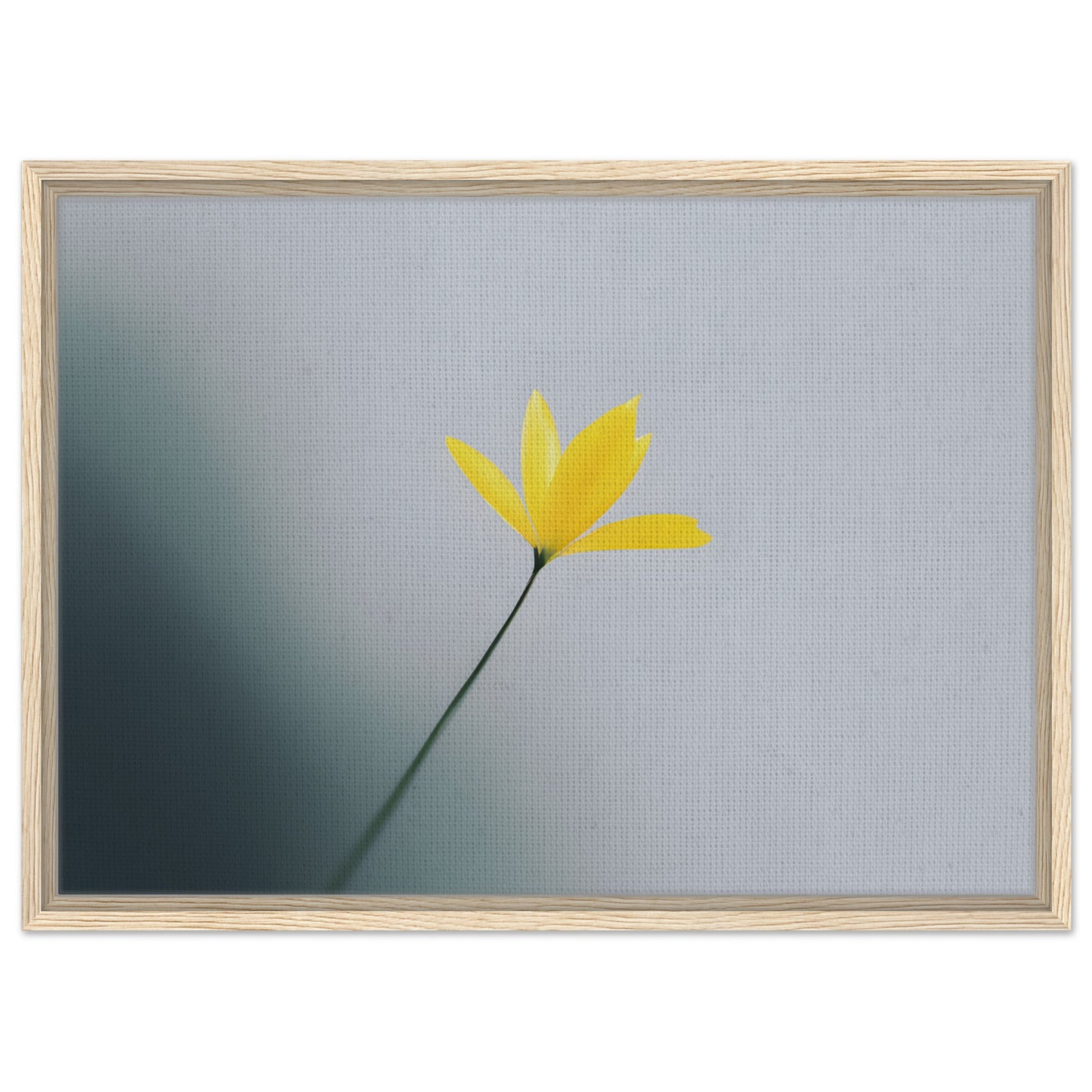 Whispers of Spring - Beautiful Floral Canvas Art for Home