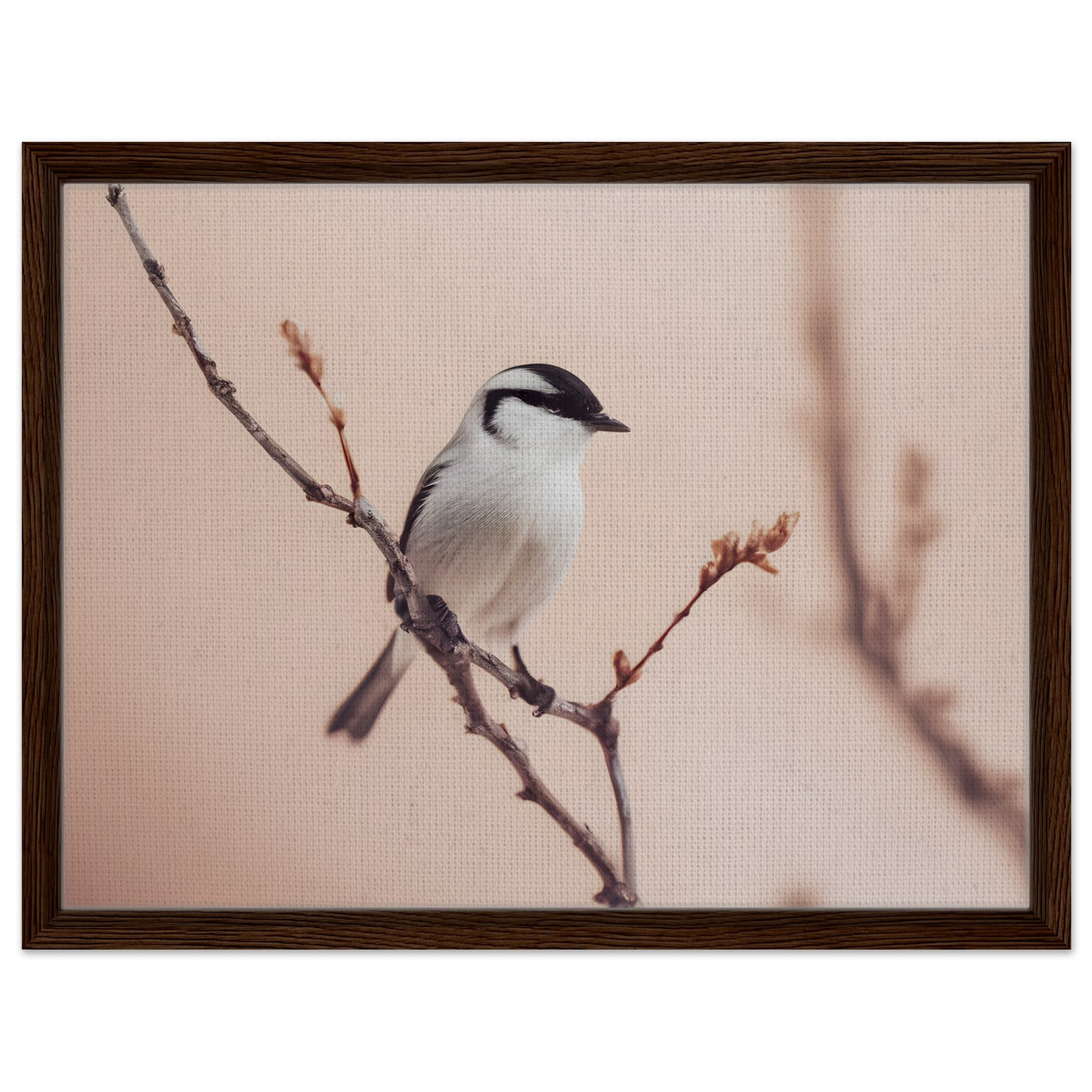 Whispers of Serenity: Elegant Bird Wall Art for Your Home