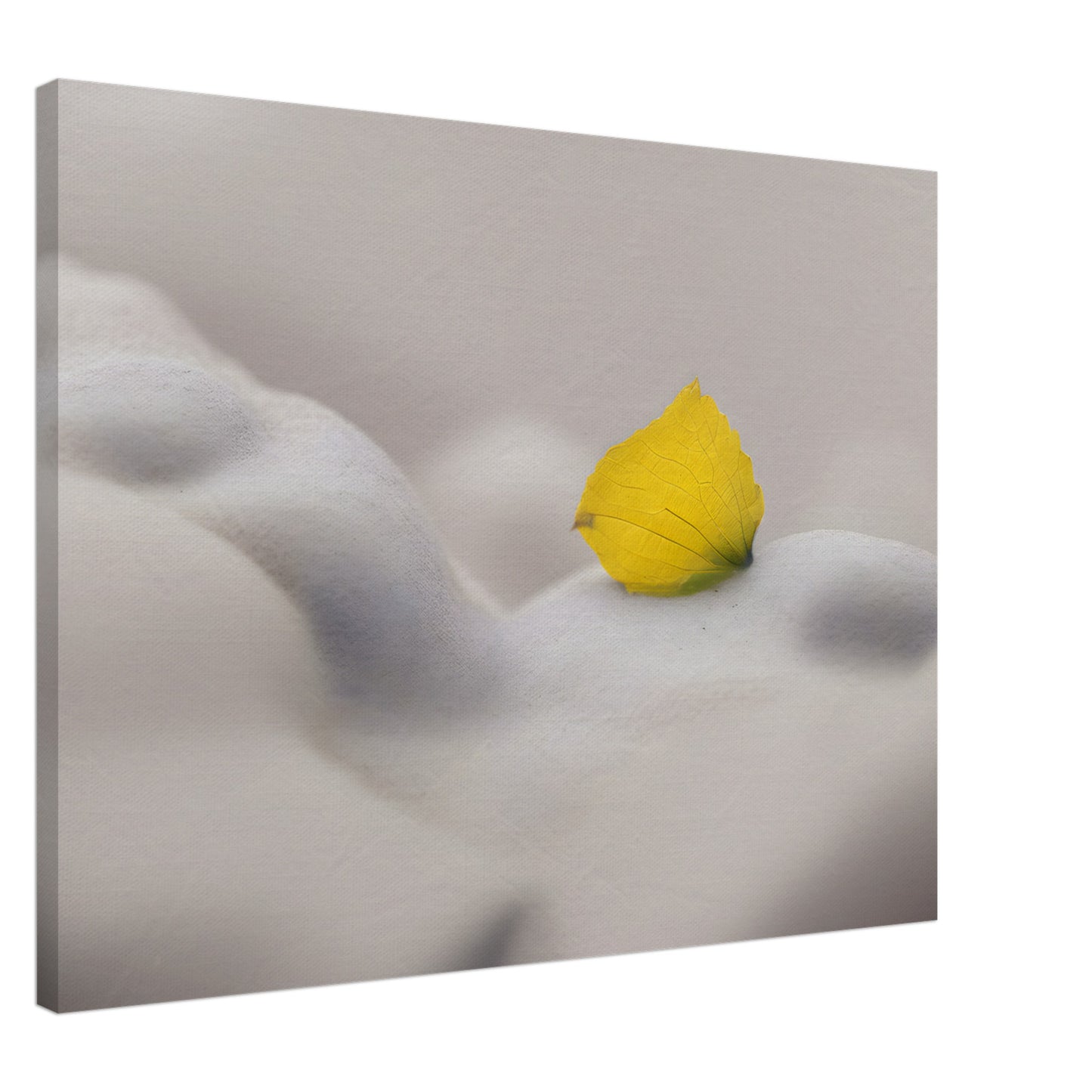 Minimalist Abstract Wall Art with Yellow Petal and Soft Textures